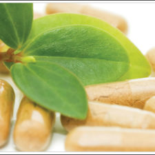 Wisdom Leads Syntec Nutraceuticals to Success