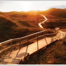 What Lies Ahead?—Reasons for Optimism throughout 2013