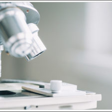 ForeverGreen Acquires Rights to Proprietary Nutrisorb Technology
