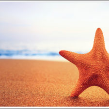 Incentive Travel That Works