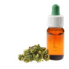 Market Potential for Ready-to-Drink CBD Beverages