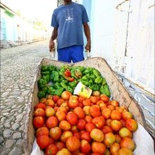 Cuba inches towards market socialism