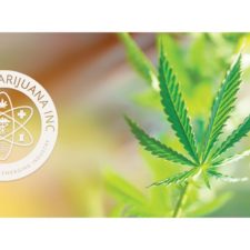 Medical Marijuana, Inc. Sales Down 3% for Q3 2019