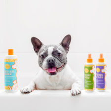 Scentsy Introduces Grooming Products for Pets