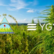 Youngevity Completes Joint Venture for Processing Facility, 2,200 Acres of Hemp Grow