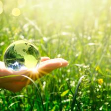 New Survey Offers Consumer Views on Sustainability