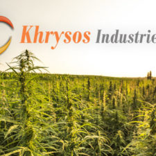 Youngevity Subsidiary Enters Into 5-Year Contract to Purchase Hemp Plant Biomass