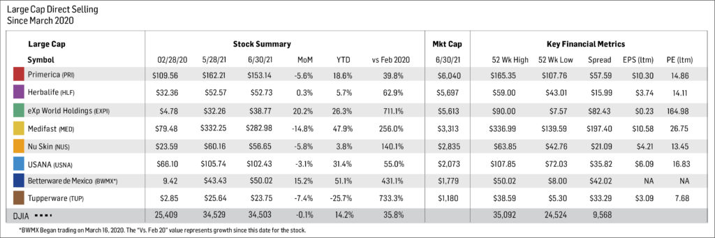 Large Cap Performance Summary Table June 2021