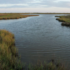 Mary Kay Partners with The Nature Conservancy to Protect Wetlands