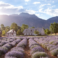 Young Living Strengthens Commitment to Sustainability and Conservation 