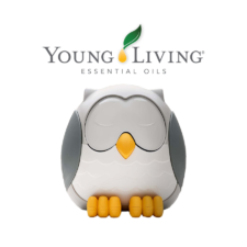 Young Living Diffuser Named a Good Housekeeping Award Winner 