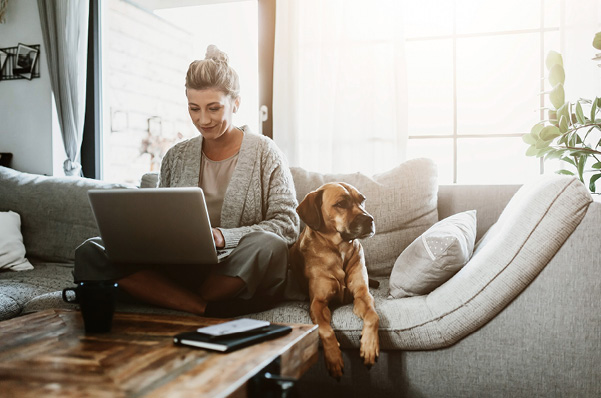 Businesswoman working on laptop computer sitting at home with a dog