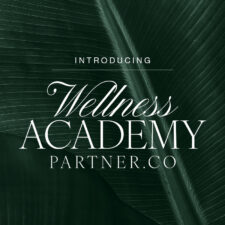 Partner.Co Launches Wellness Academy