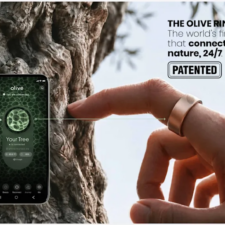 Oliveda Launches Olive Ecosystem to Connect Customers with Living Olive Trees